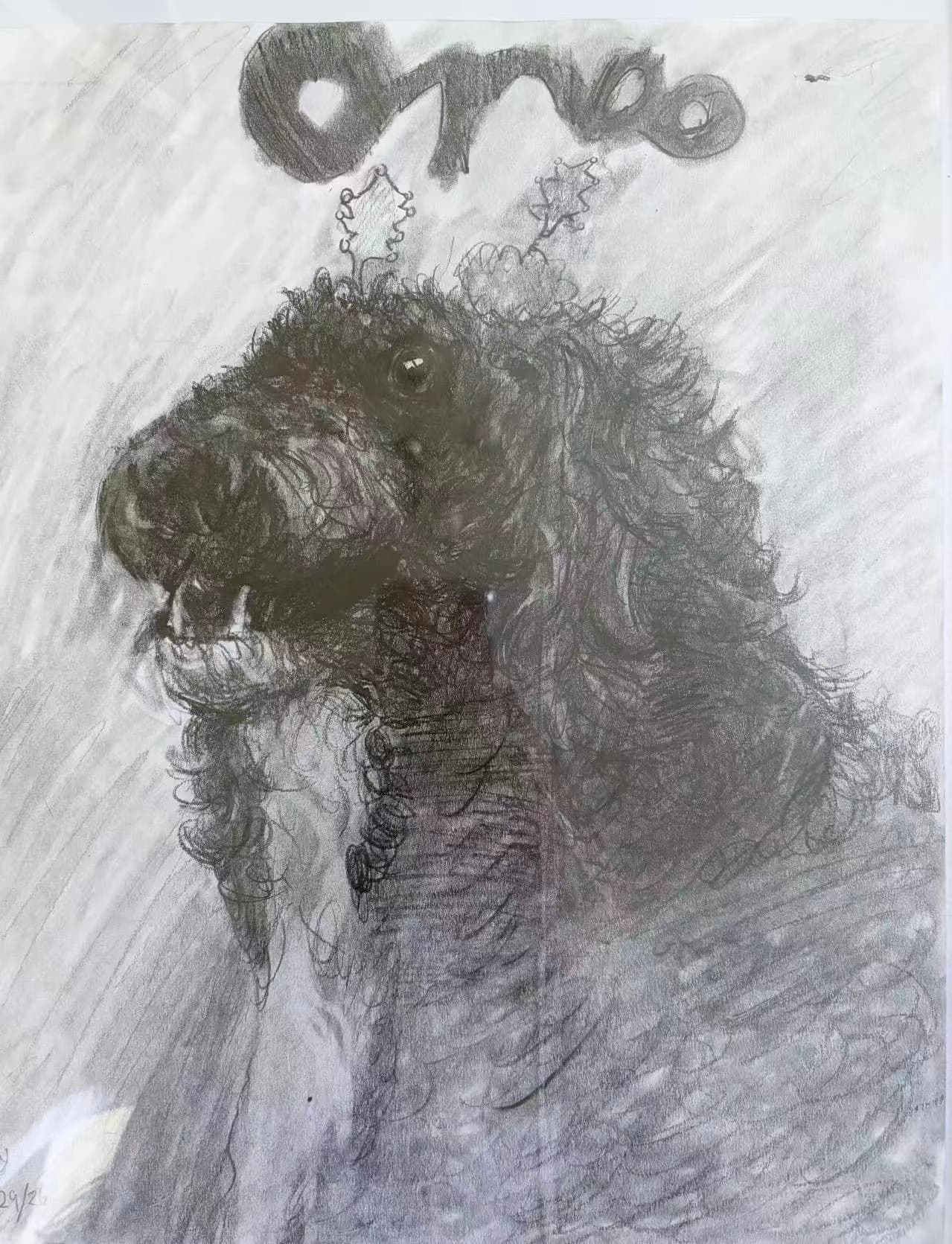 Artwork: My Wild Little Oreo